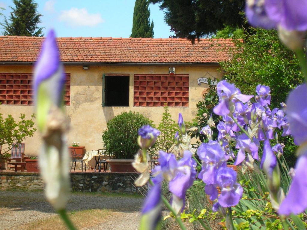 Agriturismo Le Pianore Montespertoli Dış mekan fotoğraf